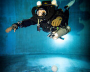 meandmyrEvo - Arne Vanhyfte