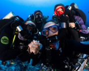 meandmyrEvo - Cecile Jacquelle