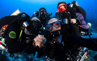 meandmyrEvo - Cecile Jacquelle