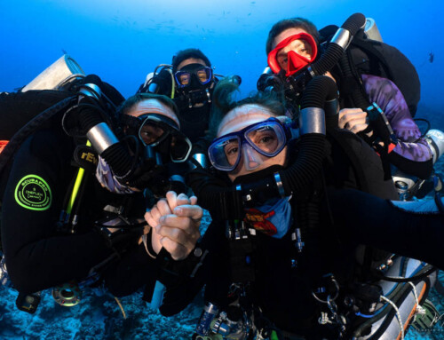 meandmyrEvo – Rangiroa Deep Joy