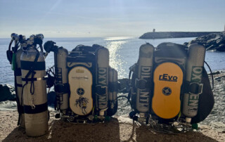 meandmyrEvo - Jean-Guy Vivoni