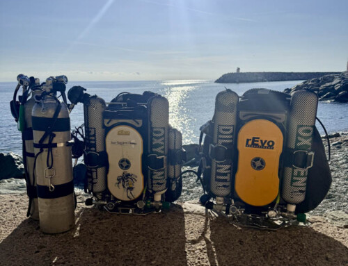 meandmyrEvo – Departure from Corsica Beach