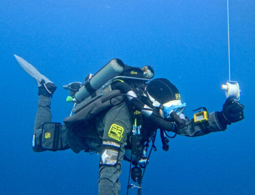 meandmyrEvo – Safety Time Corsica