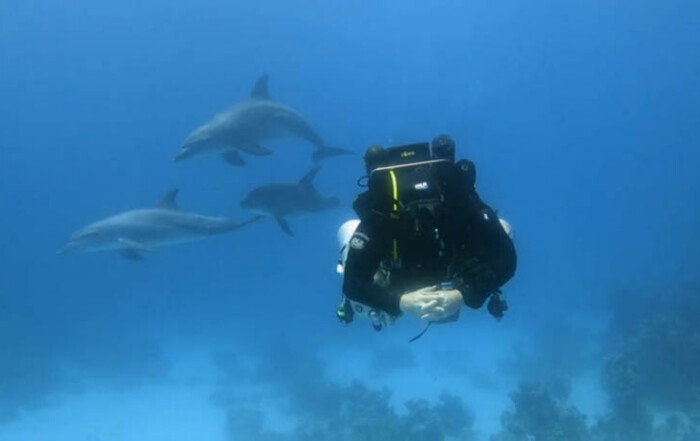 meandmyrEvo - Ulrike Herold