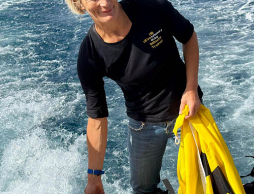 meandmyrEvo – Solitary Line Up