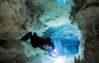 meandmyrEvo - Dorothea Obwegeser