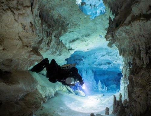 meandmyrEvo – How Many rEvo Rebreathers Can You See?