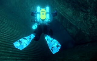 meandmyrEvo - Glen Breydels