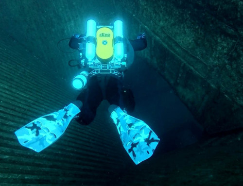 meandmyrEvo – Floating