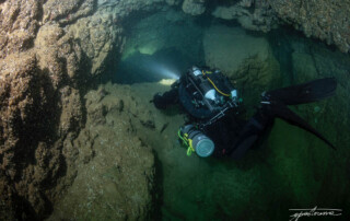 meandmyrEvo - Guiseppe Pastoressa