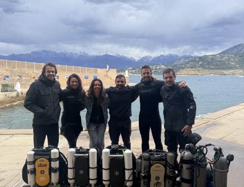 meandmyrEvo – La Plongée scientifique et rEvo Corsica