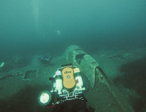 meandmyrEvo – P47 Miomo Corsica