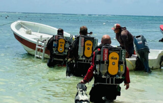 meandmyrEvo - Markus Teupe