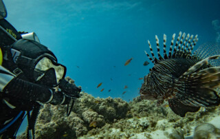 meandmyrEvo - Steven Galicia