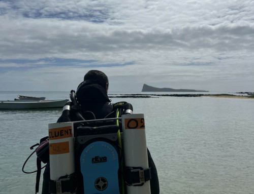 meandmyrEvo – Mire Island