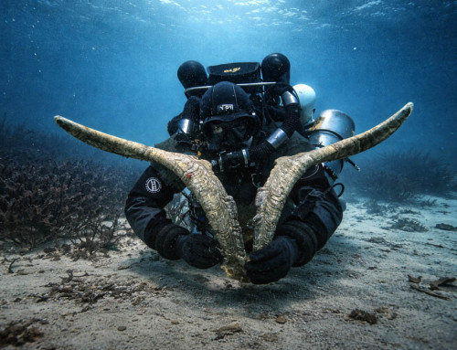 meandmyrEvo – Diving with Goats