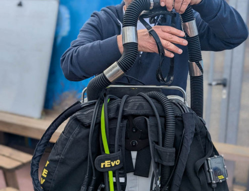 meandmyrEvo – Checklist in Action