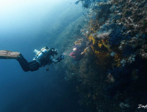meandmyrEvo – rEvo diver in Giannutri, Italy