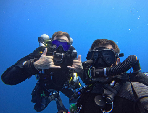 meandmyrEvo – Safety Time in Corsica