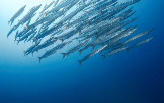 meandmyrEvo - Terence Dewaele